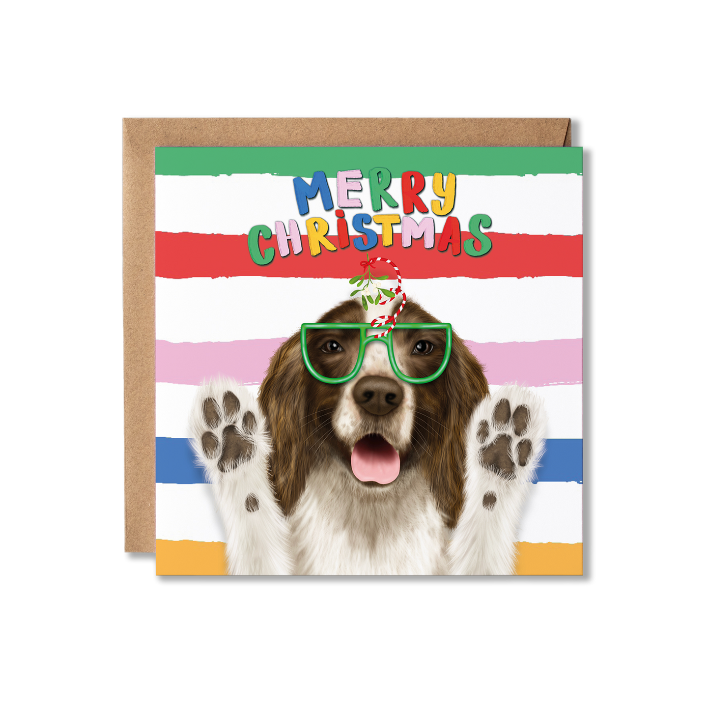 Spaniel Dog Christmas Card | Funny Dog Card