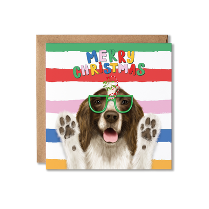 Spaniel Dog Christmas Card | Funny Dog Card