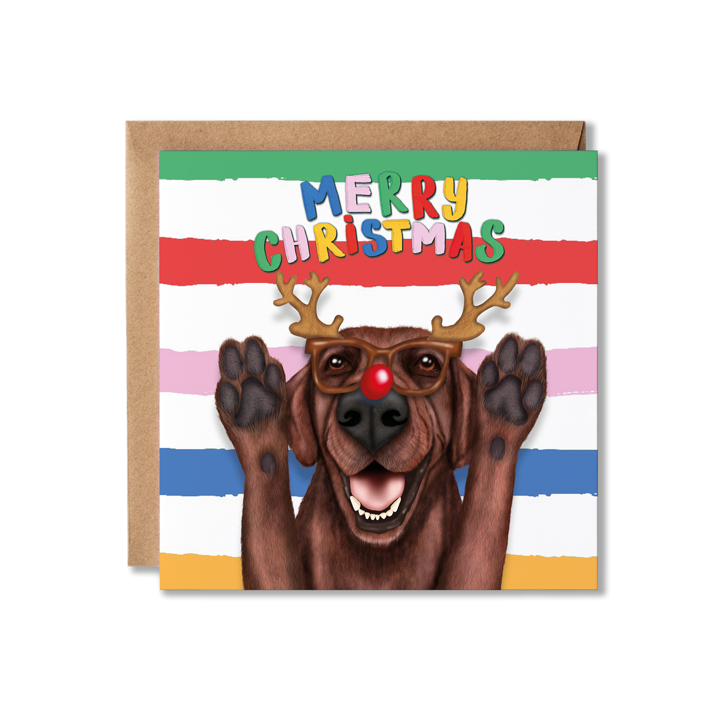 Chocolate Brown Labrador Dog Christmas Card | Funny Dog Card