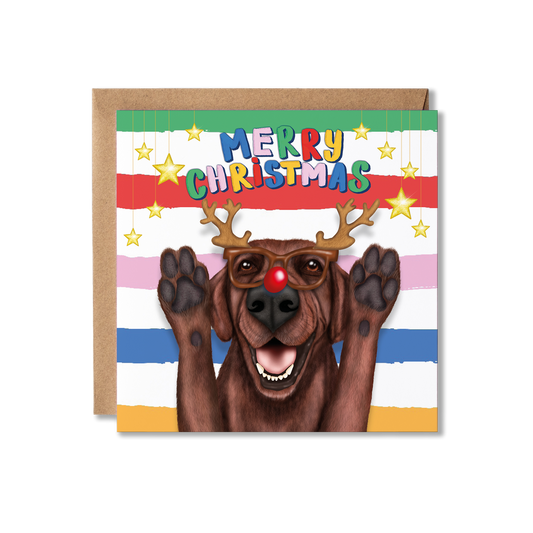 Chocolate Brown Labrador Dog Christmas Card | From the dog