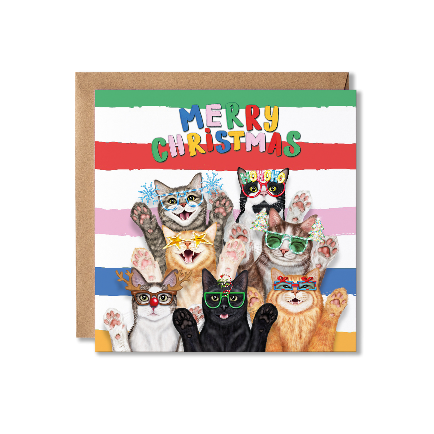Funny Cats Christmas Card | Merry Christmas