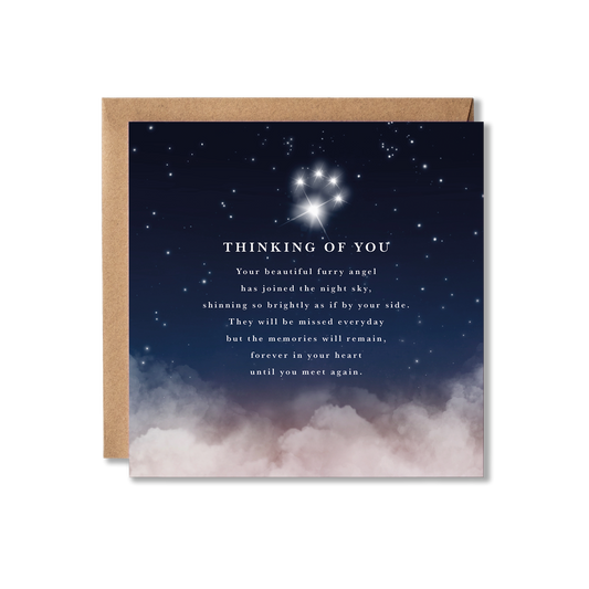 Thinking Of You Pet Loss Card