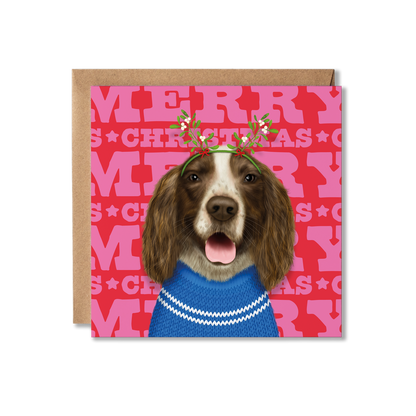 A brown and white Spaniel dog in a Christmas jumper with a colourful Merry Christmas background. 