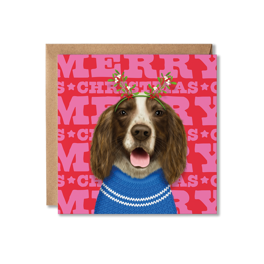 A brown and white Spaniel dog in a Christmas jumper with a colourful Merry Christmas background. 