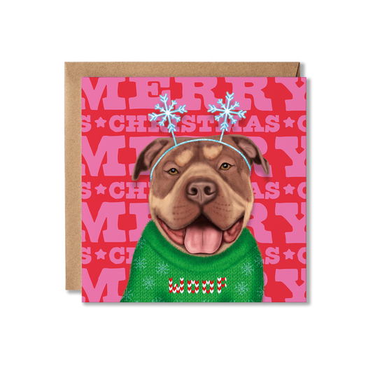 A XL Bully dog in a Christmas jumper and snowflake bobble headband with a colourful Merry Christmas background