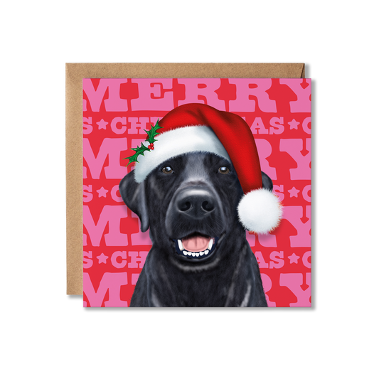 A black Labrador dog in a Santa hat with a colourful Merry Christmas background