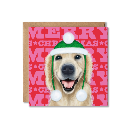 A Golden Retriever dog in a green and white bobbler hat with a colourful Merry Christmas background