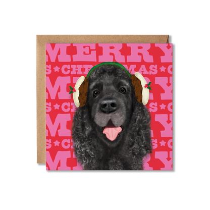 A black cocker Spaniel dog in a Christmas pudding earmuffs with a colourful Merry Christmas background