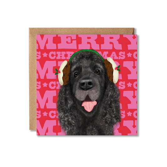 A black cocker Spaniel dog in a Christmas pudding earmuffs with a colourful Merry Christmas background