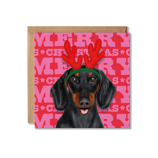 A Sausage dog Dachshund in a red reindeer headband and Merry Christmas background