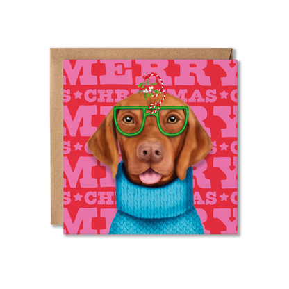  Hungarian Vizsla dog in a blue jumper and mistletoe glasses with a colourful Merry Christmas background