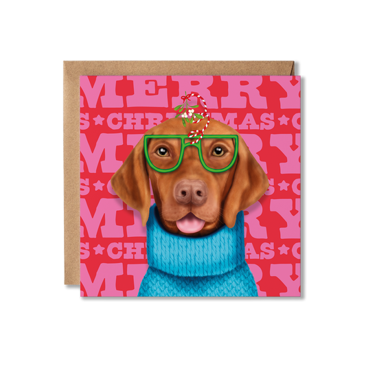  Hungarian Vizsla dog in a blue jumper and mistletoe glasses with a colourful Merry Christmas background