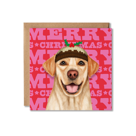 A yellow Labrador dog in a Christmas pudding hat with a colourful Merry Christmas background