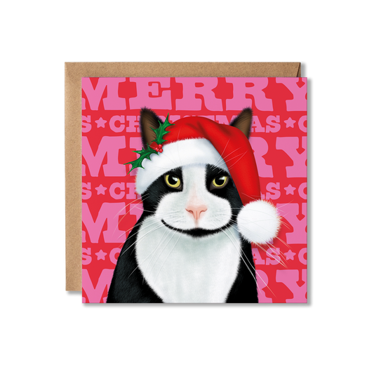 A Tuxedo black and white Cat in a Santa hat with a colourful Merry Christmas background