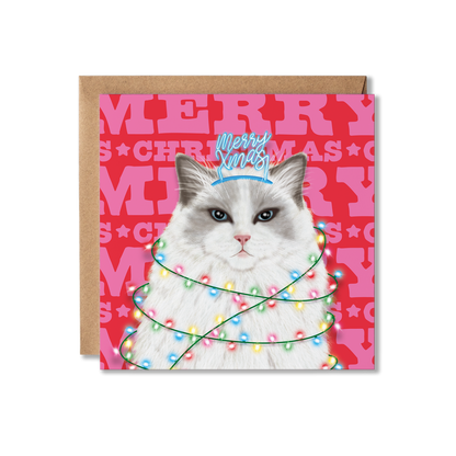 A Ragdoll cat with a Merry Xmas headband and wrapped in Christmas lights with a colourful Merry Christmas background