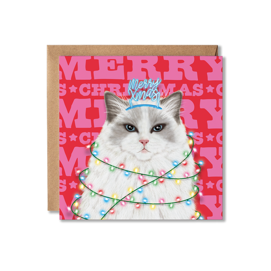 A Ragdoll cat with a Merry Xmas headband and wrapped in Christmas lights with a colourful Merry Christmas background