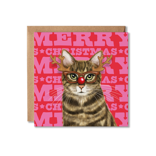 A brown tabby cat wearing reindeer glasses with a colourful Merry Christmas background