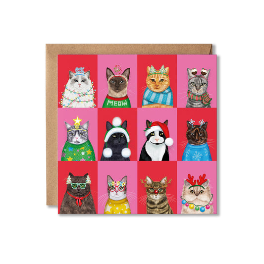 A square greeting card with a brown envelope behind it, featuring a grid of 12 illustrated cats wearing colorful Christmas hats, scarves, and accessories on pink and red backgrounds.
