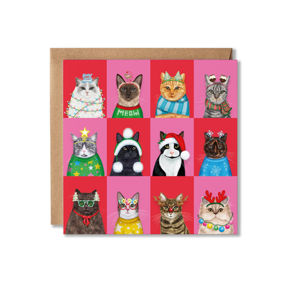 A group of cats in Christmas attire with a colourful chequered background wishing you a Merry Christmas