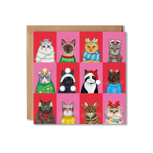 A group of cats in Christmas attire with a colourful chequered background wishing you a Merry Christmas