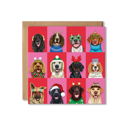 A group of dogs in Christmas attire with a colourful chequered background wishing you a Merry Christmas
