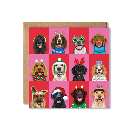 A group of dogs in Christmas attire with a colourful chequered background wishing you a Merry Christmas