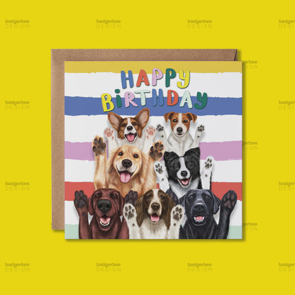 Funny Dogs Birthday Card